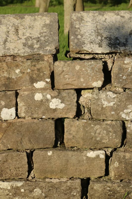Stone Wall Repair in Santee, CA